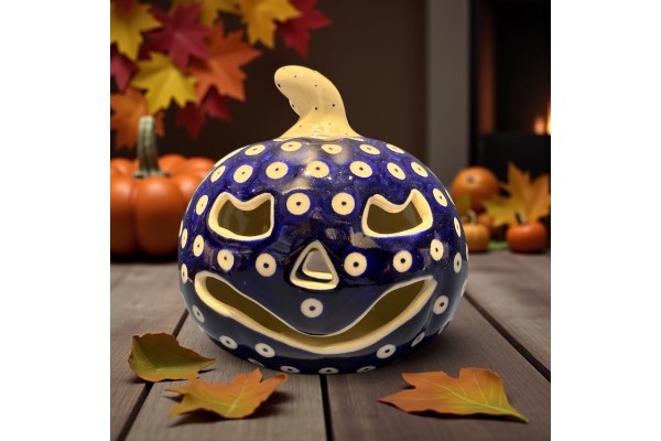 Bunzlau pompoen 47 70AX Pompoenen